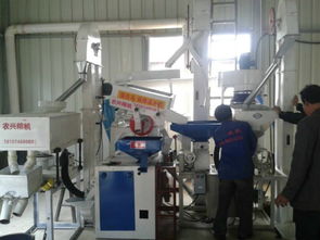 批發供應廠家直銷組合碾米機成套設備 價格、圖片與技術服務詳解